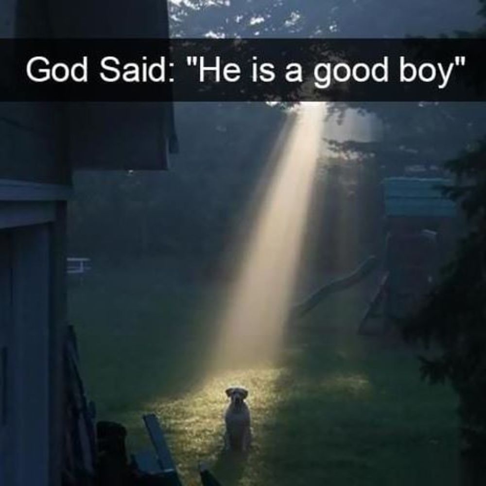 Meet your Posher, Tawny